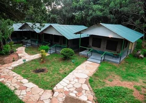 Tents among the trees at Miti Mingi Eco Camp in the Maasai Mara