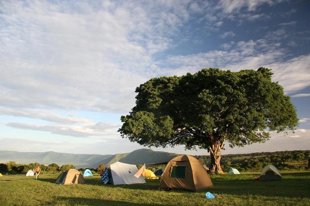 Tents at Simba Campsite, Ngorongoro