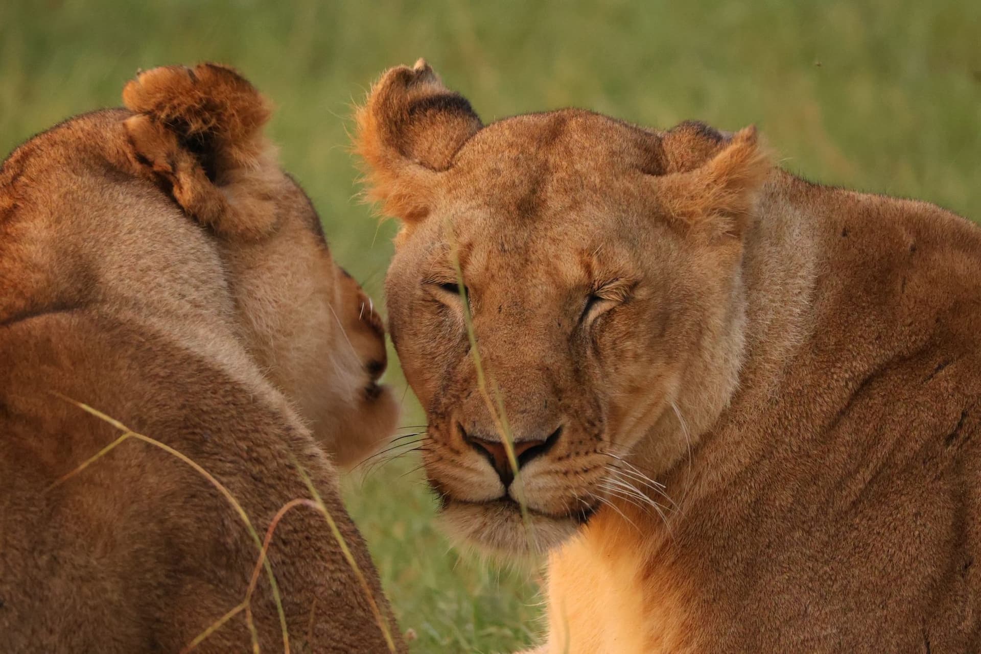 Short, well-shaped routes for a first trip to East Africa.