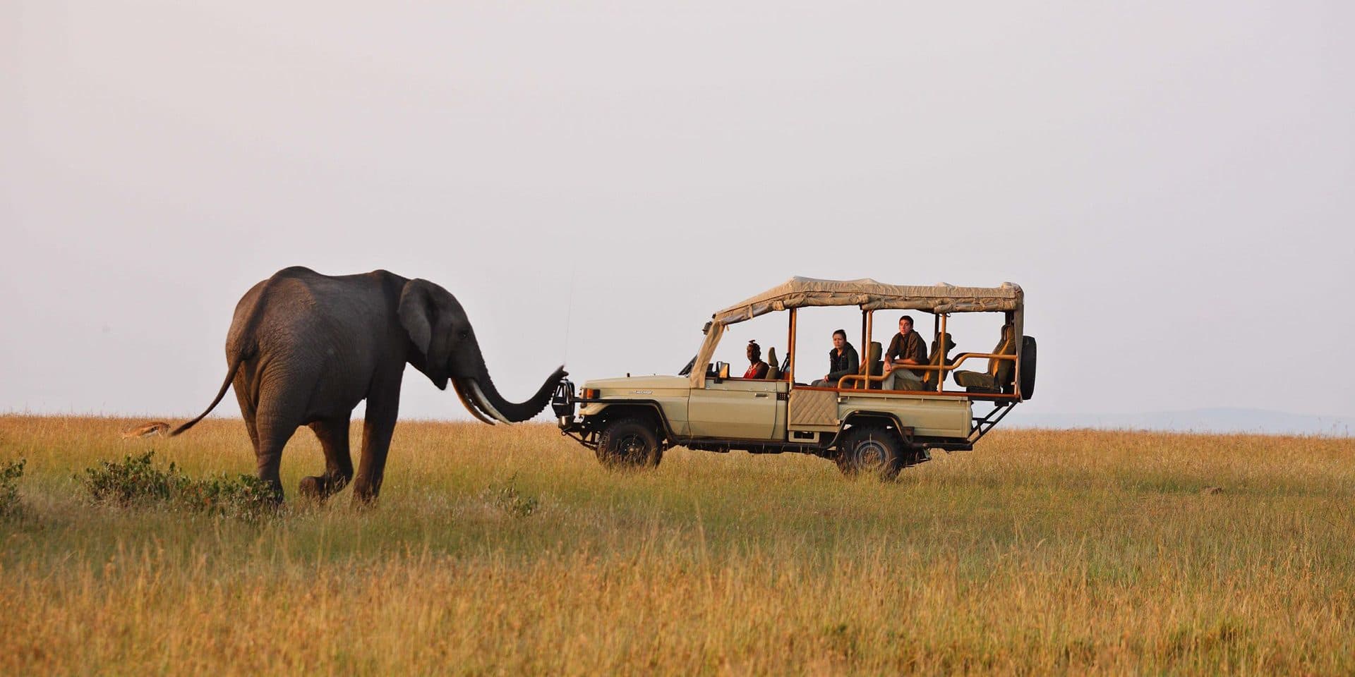 Considered pacing, suitable stays and days built around shared discovery.