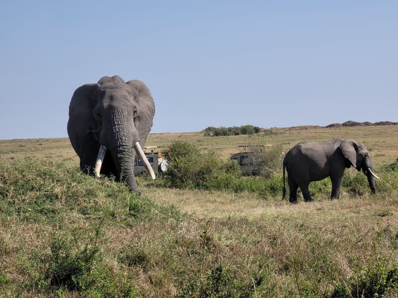 Nairobi · Maasai Mara · Lake Nakuru · Lake Naivasha · Nairobi