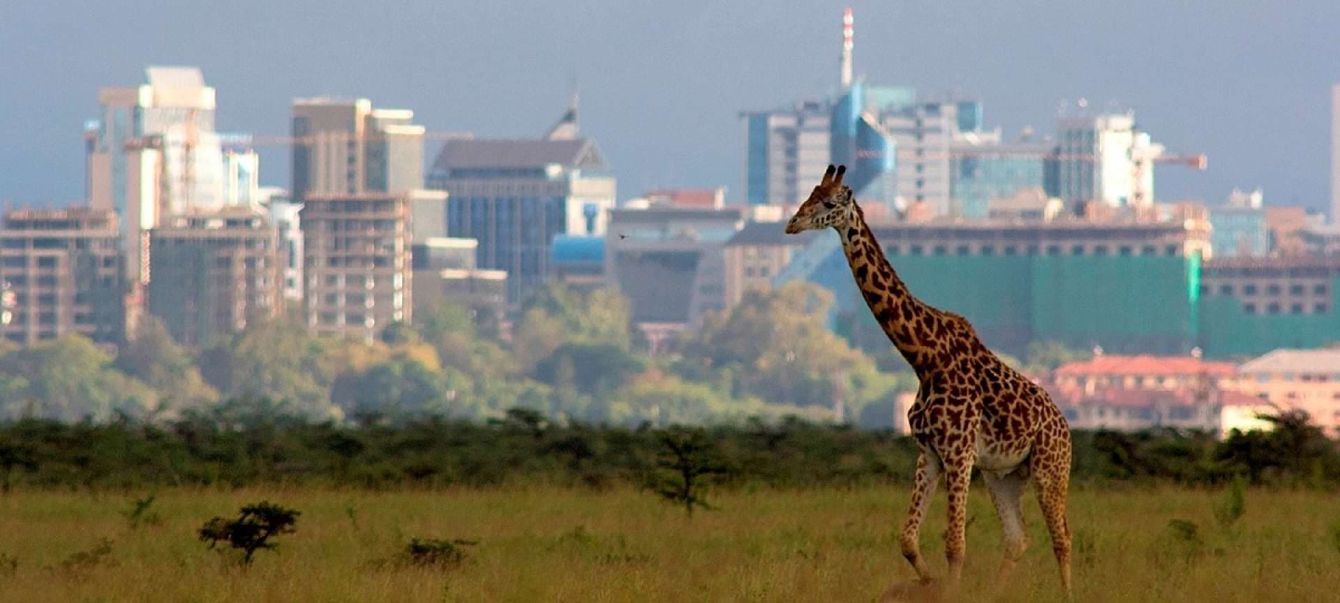 They share an ecosystem and a border. The differences that matter are practical ones.