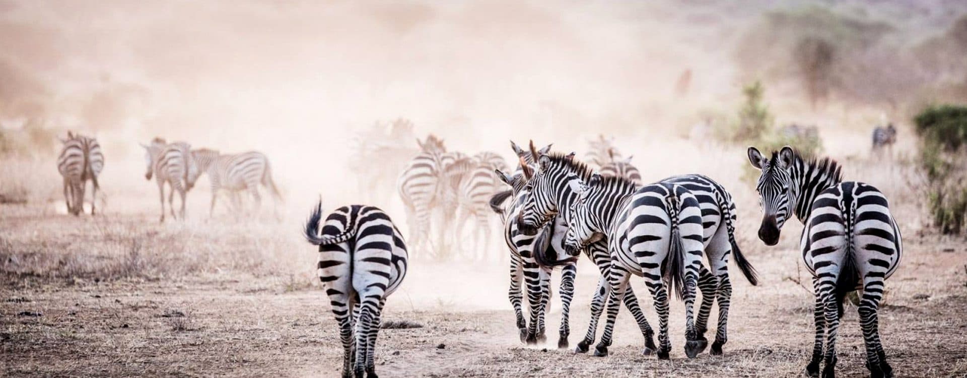Nairobi · Maasai Mara · Lake Nakuru · Lake Naivasha · Lake Baringo & Bogoria · Nairobi — the landscape this safari travels through