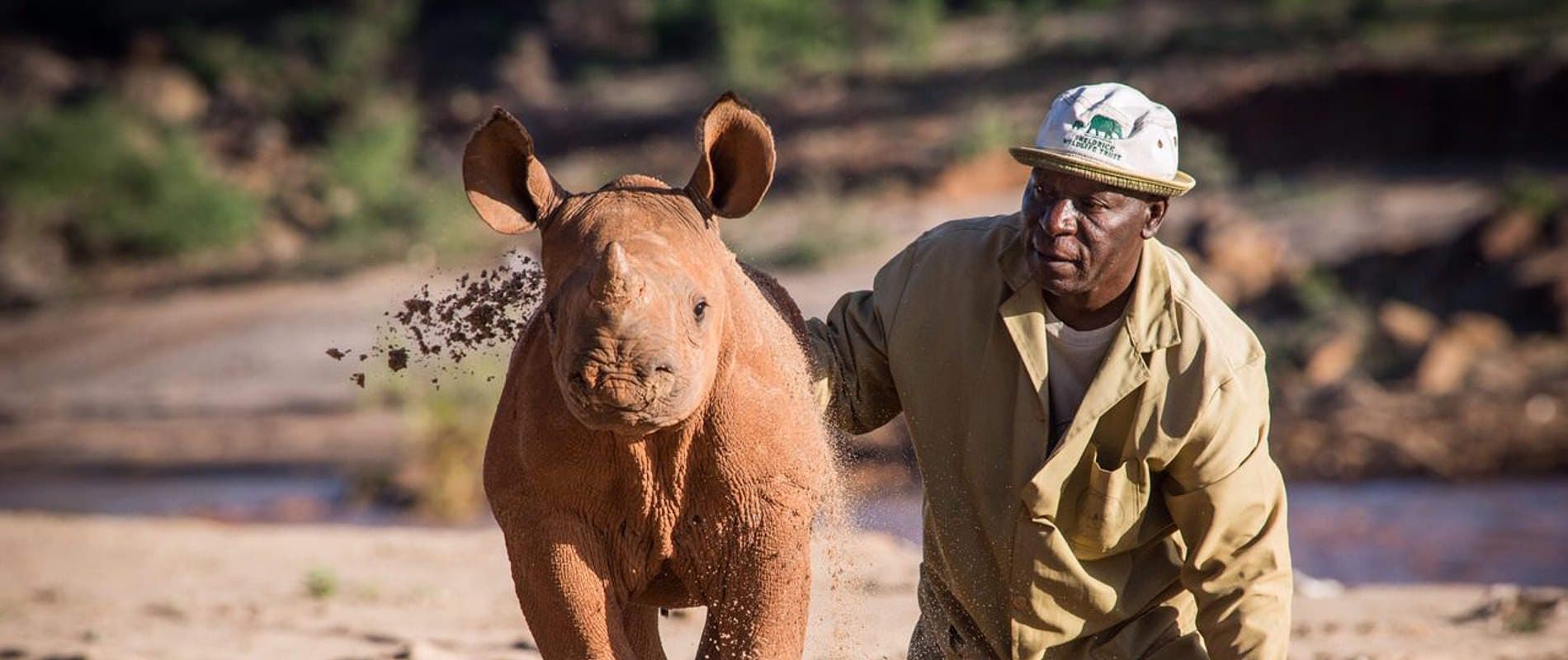Routes built around the places doing the rhino work.