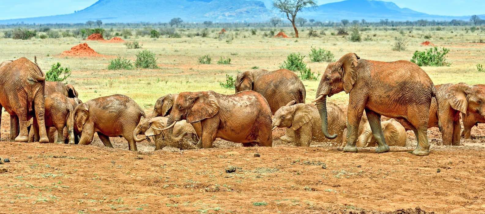 Galana river drives