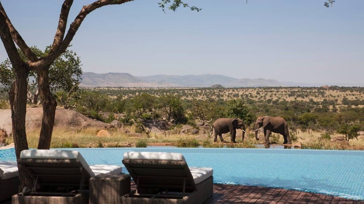 A safari lodge, a lodge pool and elephants in Tsavo East