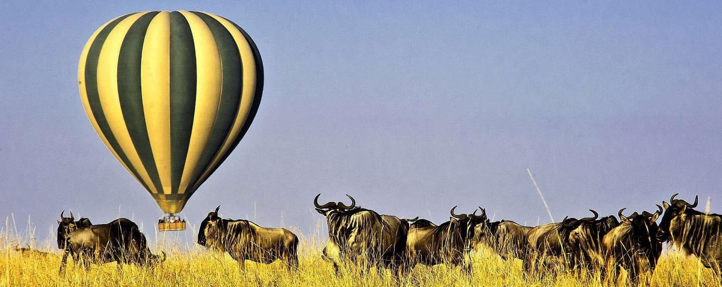 Serengeti National Park — The short-grass plains at the centre of the migration, and the reason the northern circuit exists.