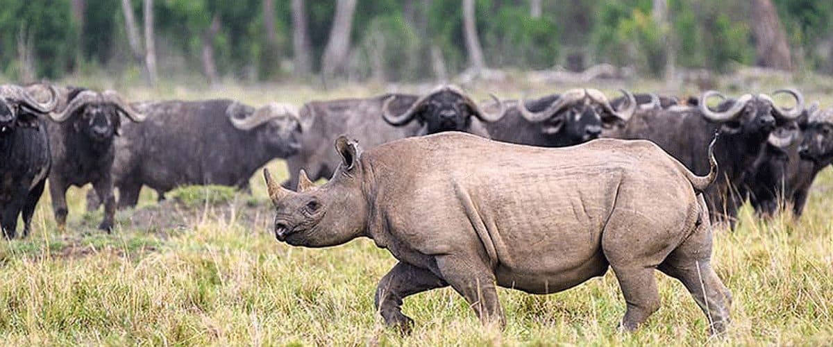 The Rift Valley lakes, and the habitats that stack species up fast.
