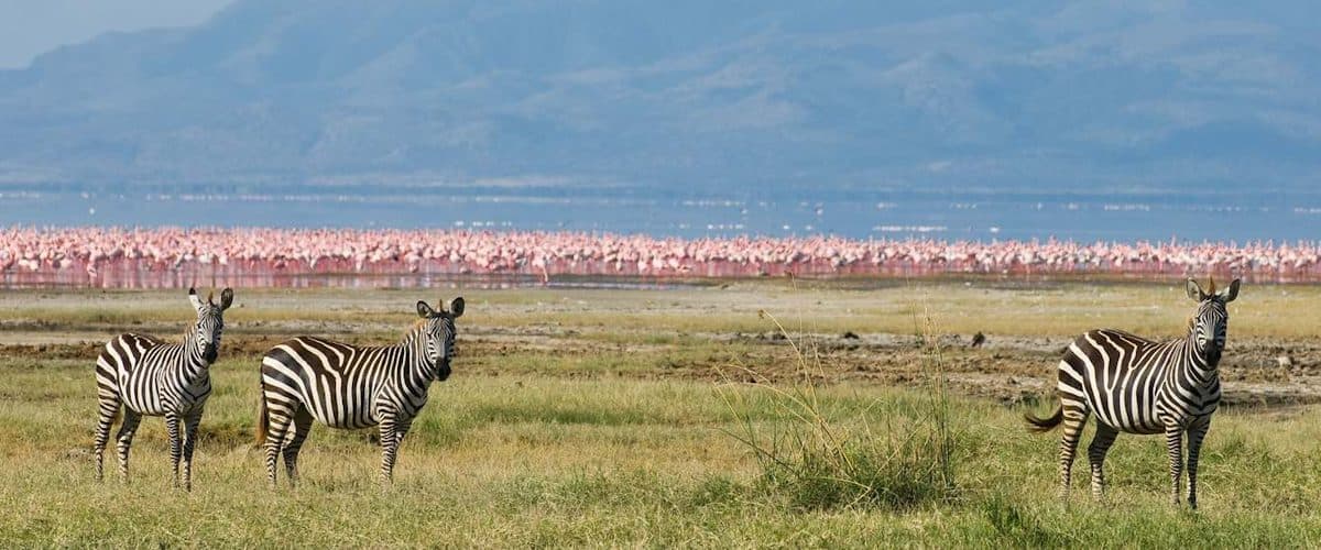 Day 3: Maasai Mara → Lake Nakuru