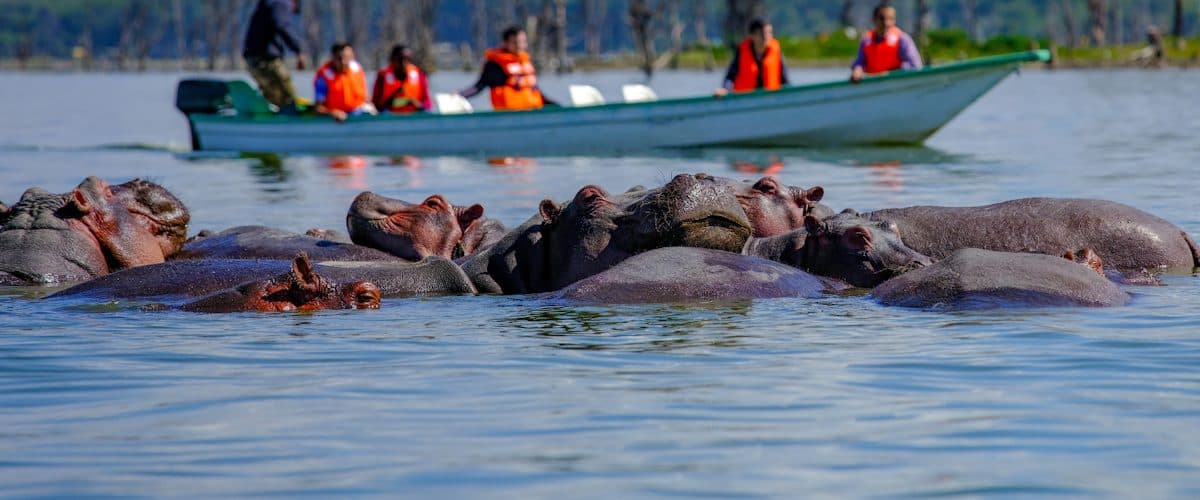 A lake boat and hippo in Lake Naivasha