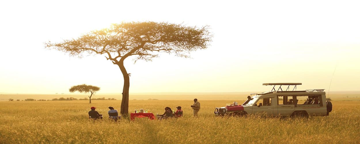 Open-roof game drives, and time to watch the day unfold.
