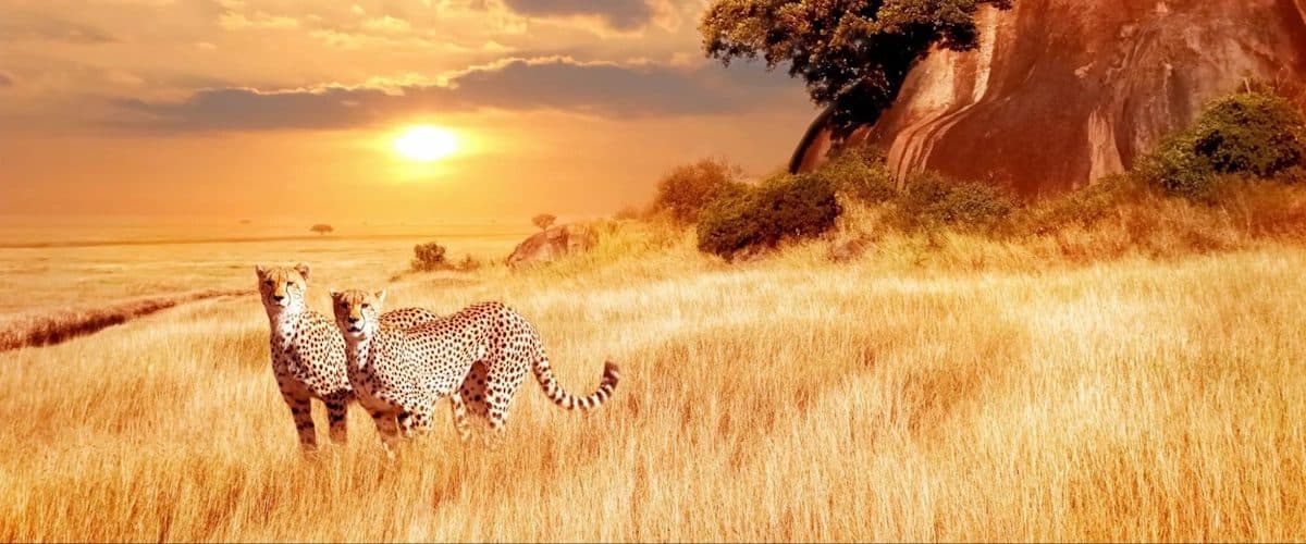 Nairobi · Maasai Mara · Lake Nakuru · Lake Naivasha · Nairobi