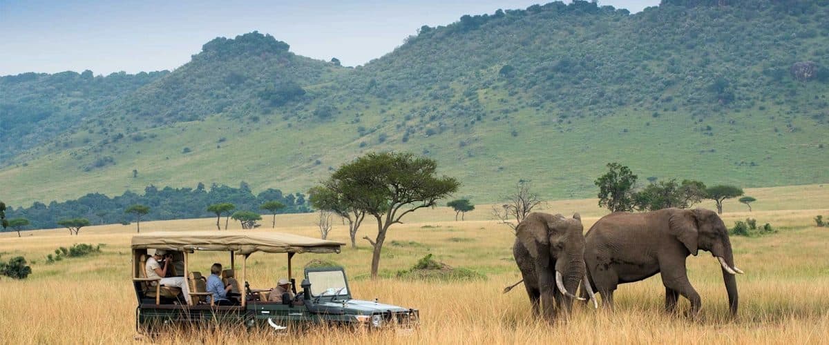 Tarangire National Park — Baobabs, a permanent river and the northern circuit's heaviest dry-season elephant concentrations.