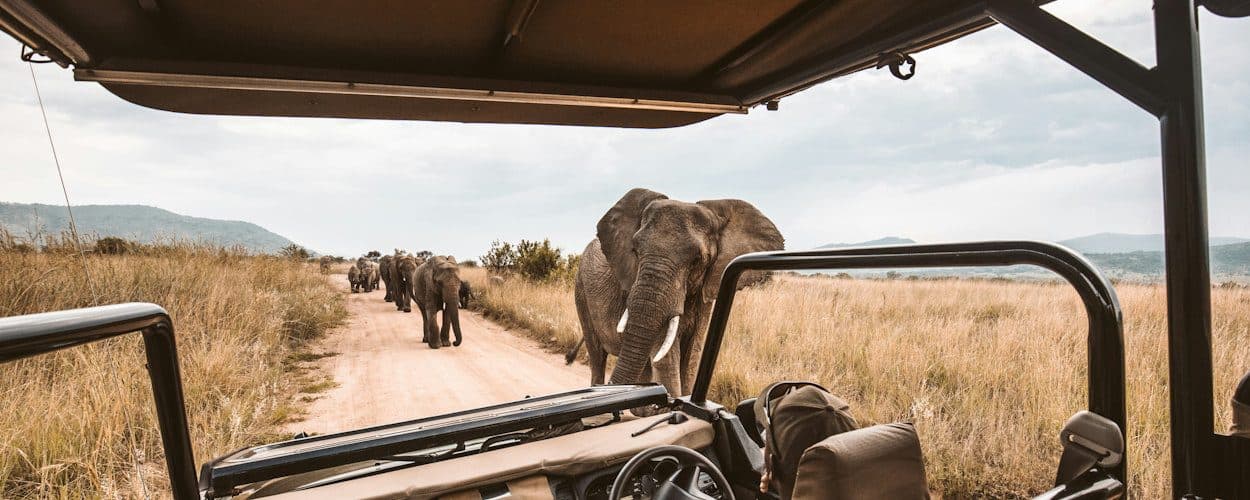 Your own vehicle, your own guide, your own pace.