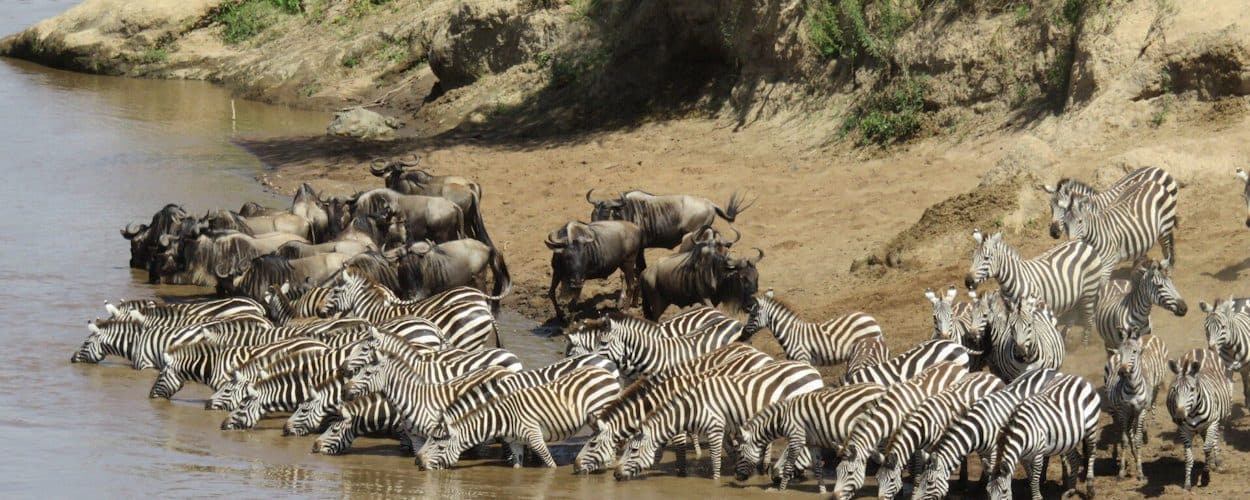Nairobi · Maasai Mara · Lake Nakuru · Lake Naivasha · Namanga · Arusha · Lake Manyara · Ngorongoro · Arusha